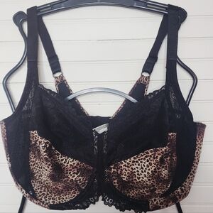 Lilyette Leopard & Lace Underwire Bra 42DD